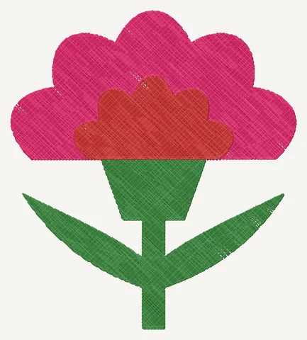 Karanfil